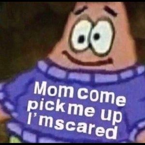 Meet your Posher, Ingrid